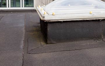 disadvantages of Pant flat roofs