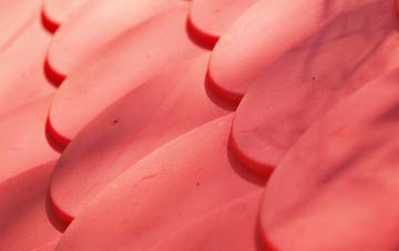 Pant plastic roof costs