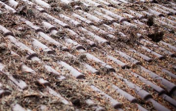 Pant roof cleaning companies