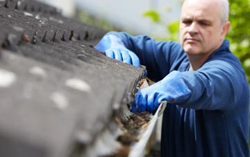 cleaning and inspecting Pant roofs