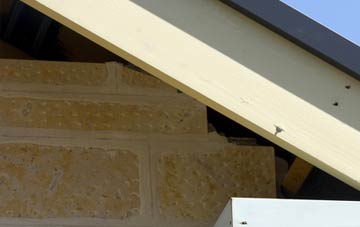 soffit repair Pant