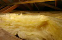 Pant pitch roof insulation