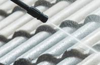 rated Pant roof cleaning companies